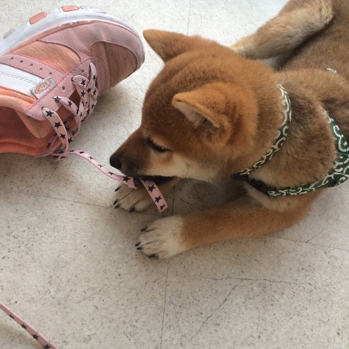 Ac173d4d 5a33 4891 a669 d24221b31704