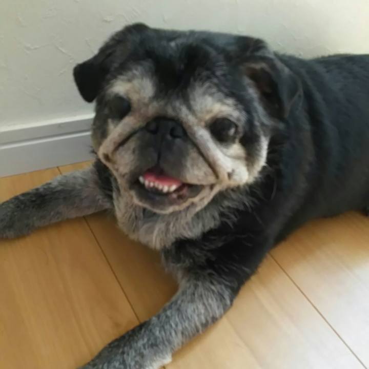 Ac176465 c833 45f4 bc72 82465db7f23c