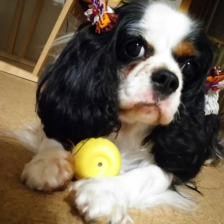 Ac17c715 129d 4909 a2ef 06f651b5c954