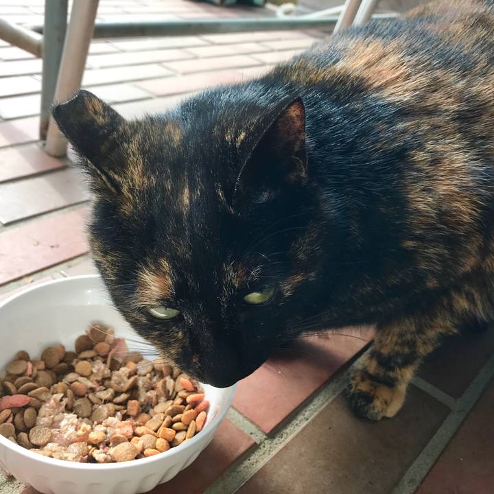 Ac1826dd da34 4efe aefc 9fdca94e5574