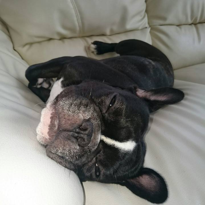 Ac182aa2 930f 462c b551 6f32547407a4