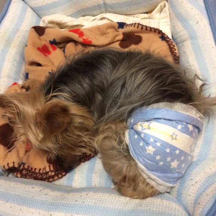 Ac18aed8 3f04 48af 9ed7 a55ae0cf0417