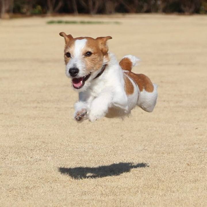 Ac19c65d d00a 482e ad2b d9f998745b4a