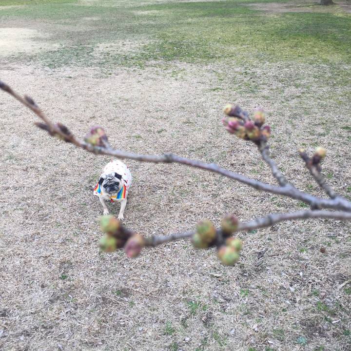 Ac19e771 263e 4885 bacf e30a635a7471