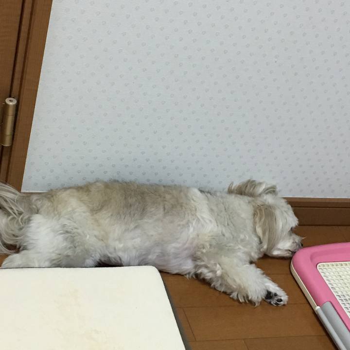Ac1a0b56 4408 4008 8de8 6a28b2ae64cb