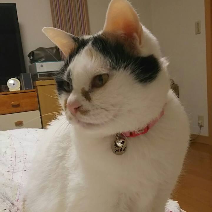 Ac1a659f 39b3 4130 8210 677cbd306740