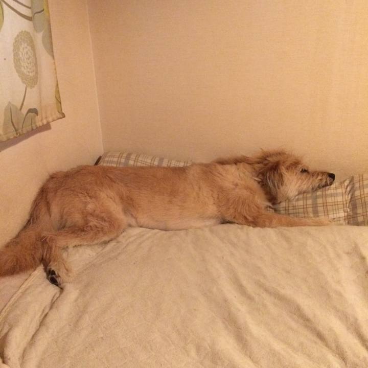 Ac1b407d 2eae 4025 bca9 8cc060b7d3e6