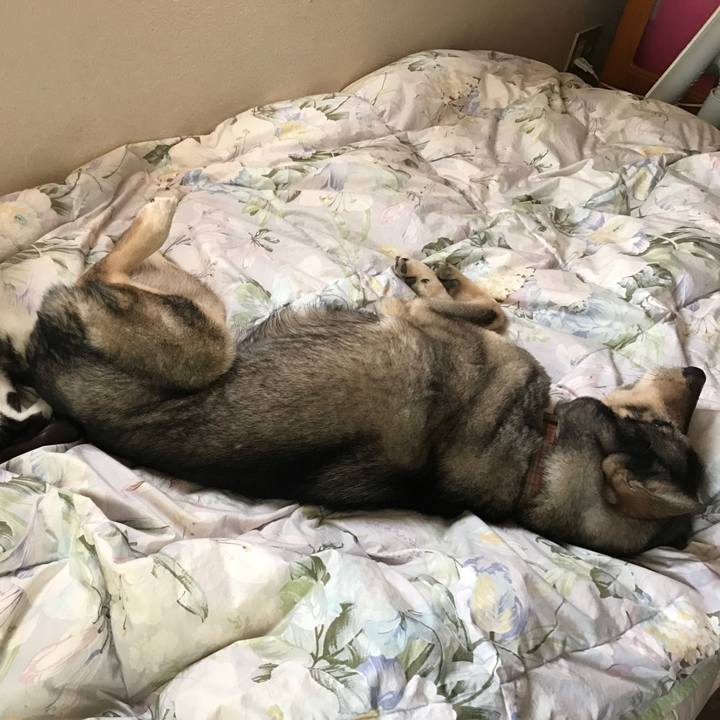 Ac1b6e7c e4da 4888 9025 37e90b941eaf