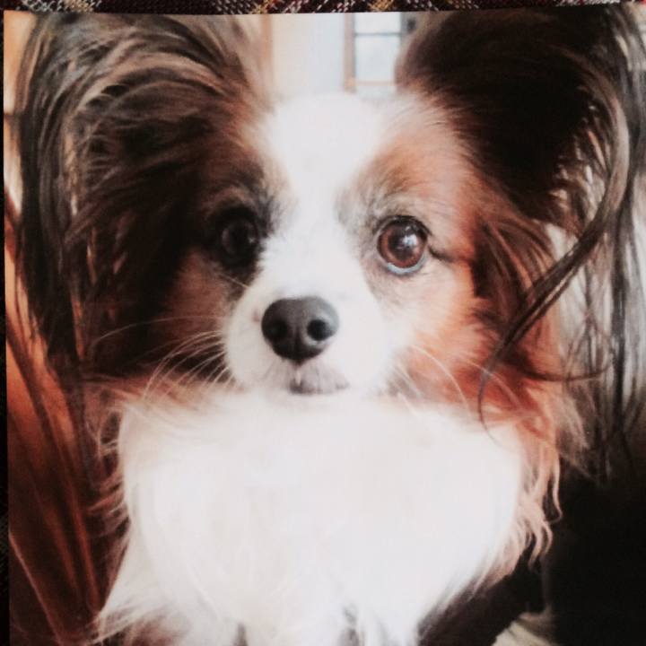 Ac1ba230 ba6c 40c5 bd13 f3996cf8fe70