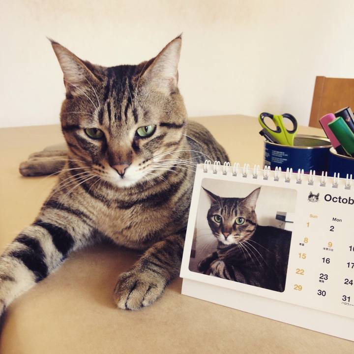 Ac1bad5f 2a23 4029 b4e7 e8c31a687d02