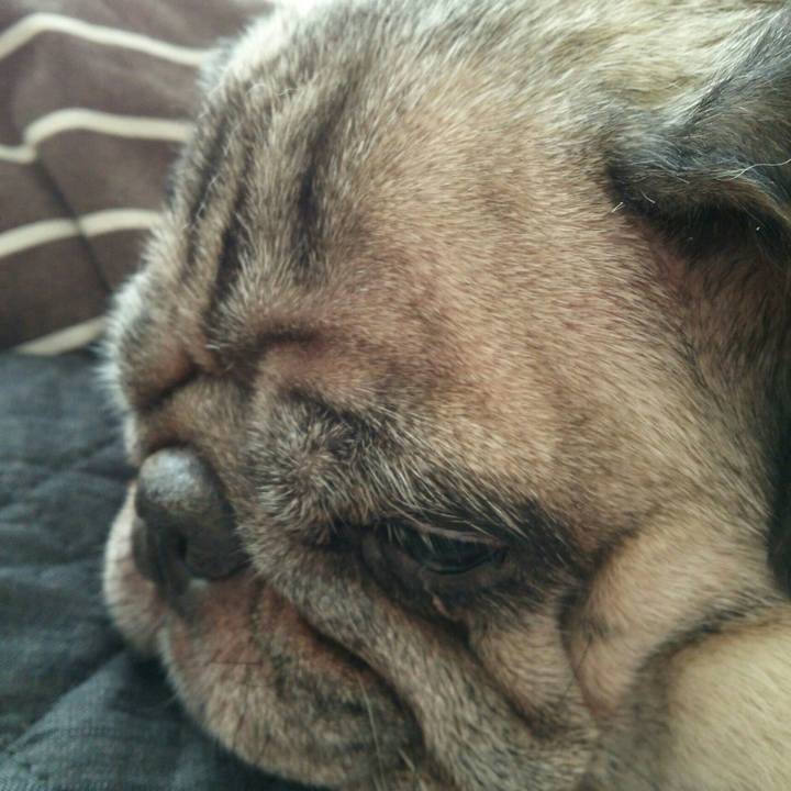 Ac1c0889 c2a5 4650 9d73 ebea9cee5279