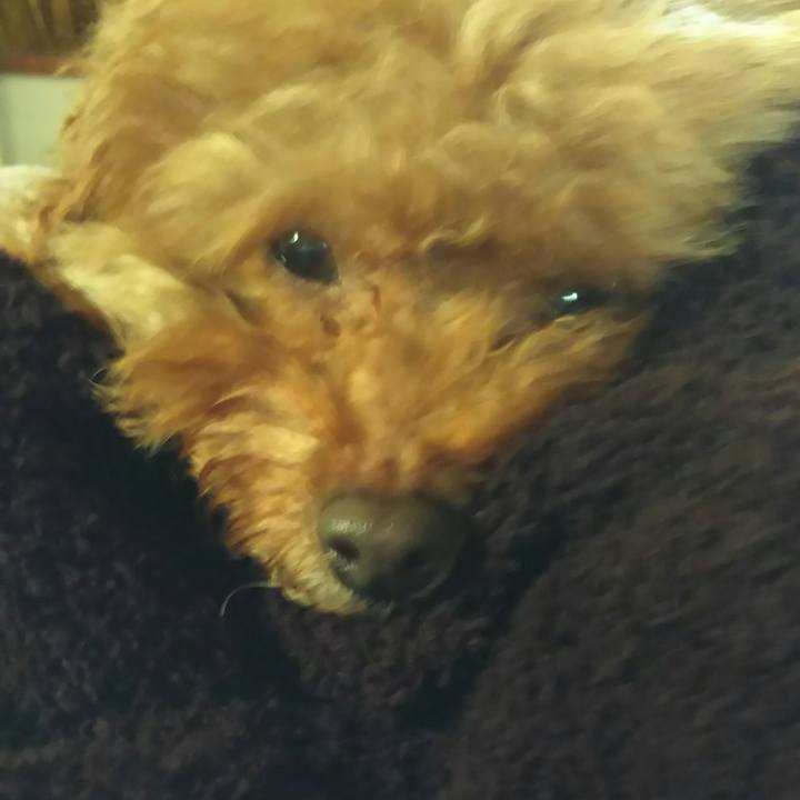 Ac1c3813 a1c5 48ca a986 a99debc4ae09