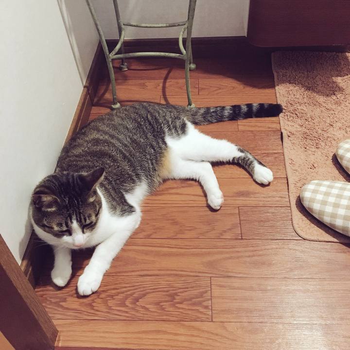 Ac1e0c00 e2f4 4496 a48b fec545884f09