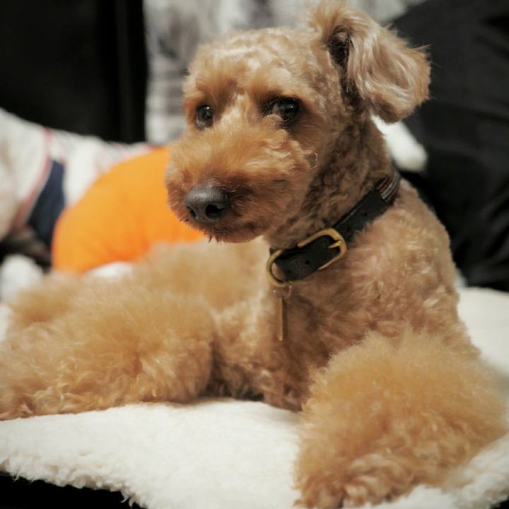 Ac1e33c1 01af 4dcb bdc5 7f4c19ee418a