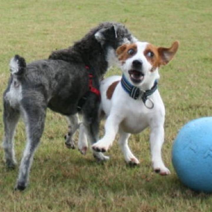 Ac1e762b 165d 4952 be2c eb8c26b42167