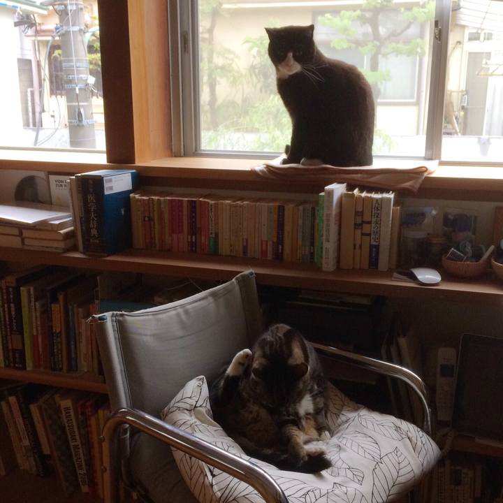 Ac1e9b7b a70d 4f7d b13a 13f18d1720ce