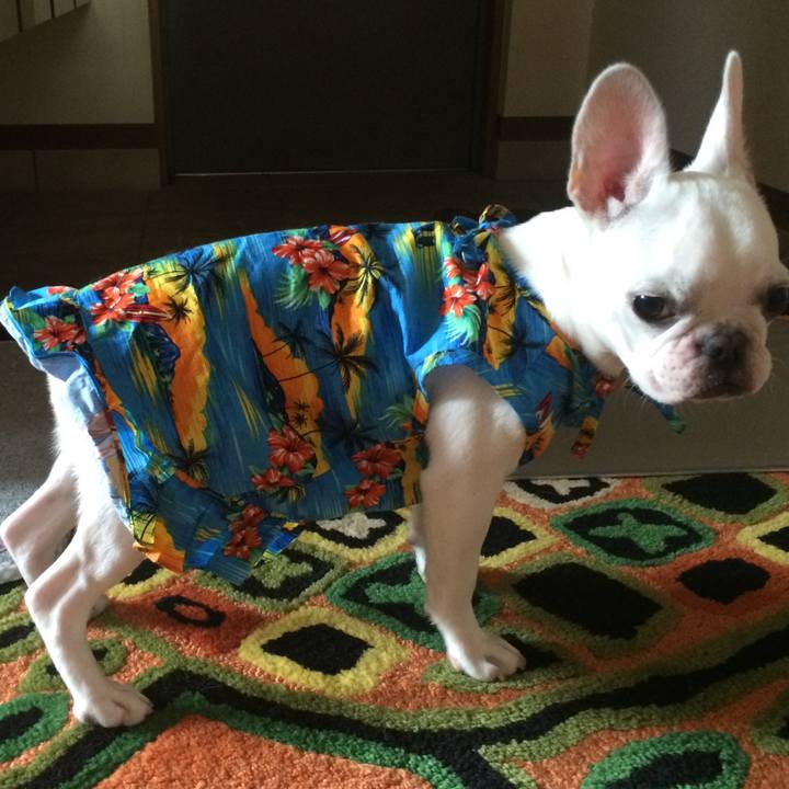 Ac1f8804 a7df 4a45 a6bd fe51e94b8413