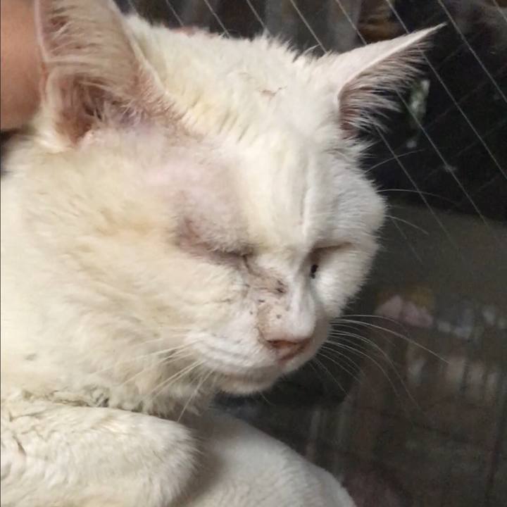 Ac21360e 1044 4e03 968b da3bb5899985