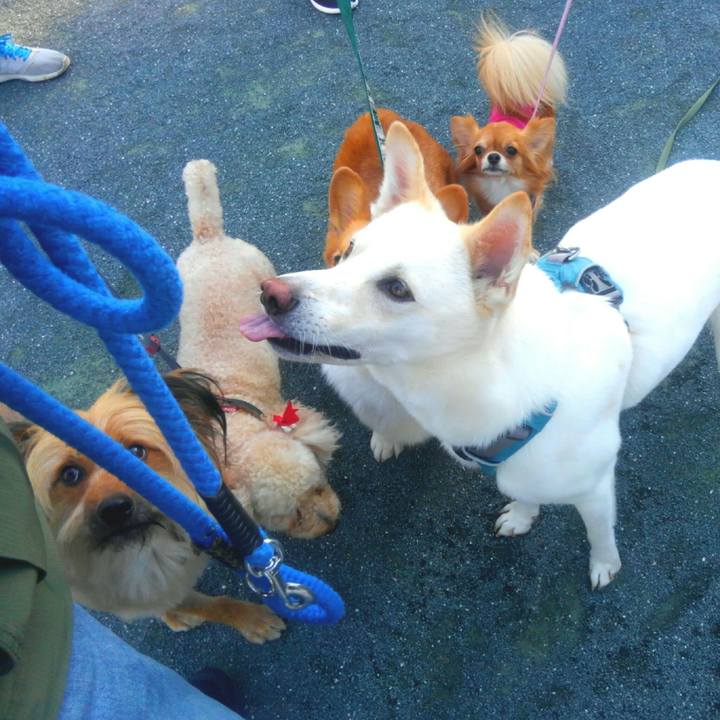 Ac2159f9 c7e9 4199 a29d 5a4a1d4f63d1