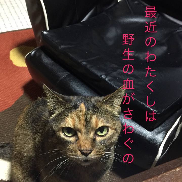 Ac216f42 d745 4197 a234 a24e282d2ced