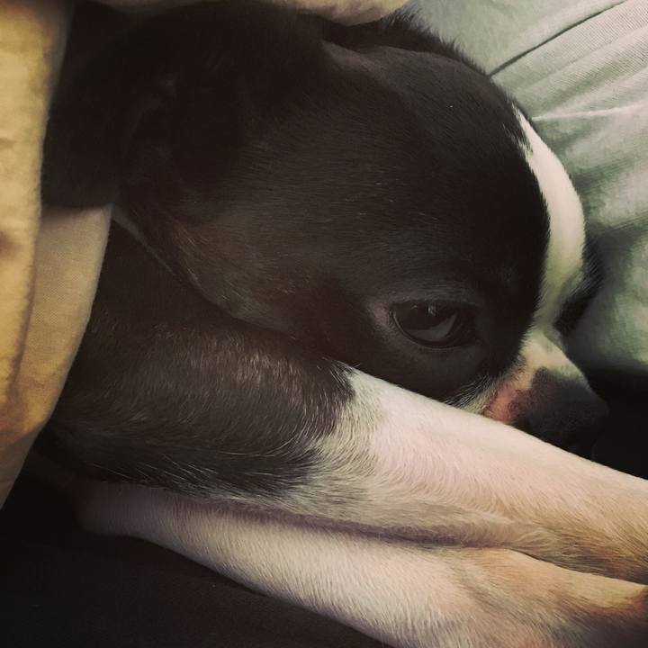 Ac218525 cad8 4d0c ae51 062f963e9cb2