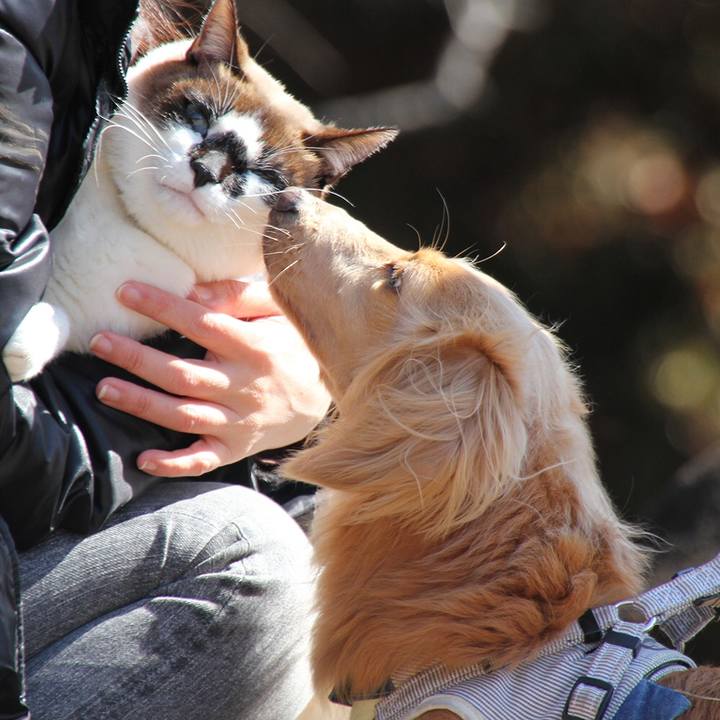 Ac2248ad 5a64 449d 87aa fad5fede6325