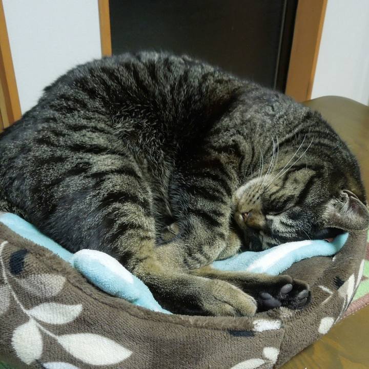 Ac2262c5 af07 4718 829d dc6b58fbab15