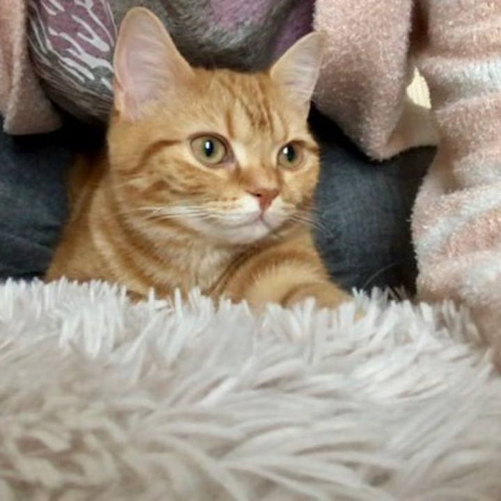 Ac23222c 9bb4 4809 adc6 576aa91eefc3