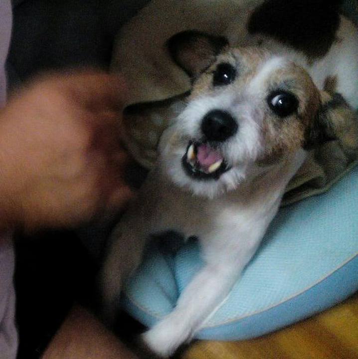 Ac245f85 6f79 4833 95f0 70c6fd063d34