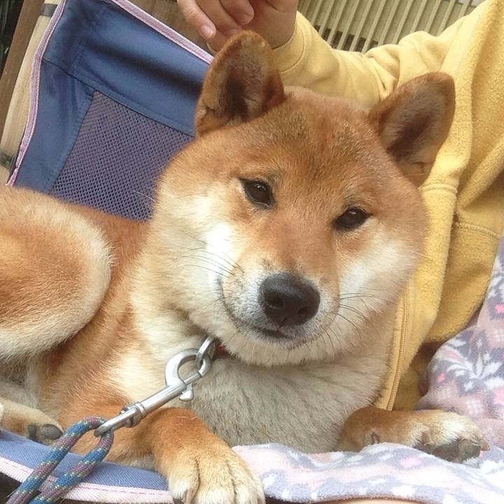 Ac248953 35ef 404e b591 a8890b514f15