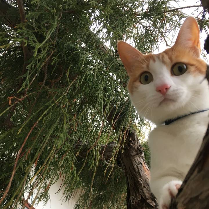 Ac25f1da 671a 4206 911d 1c6bdbacc7d0