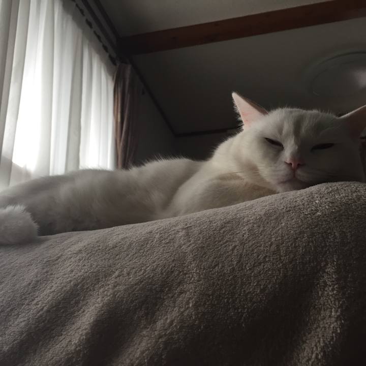 Ac261471 795e 4b8b abfa 125d6c42e6e3