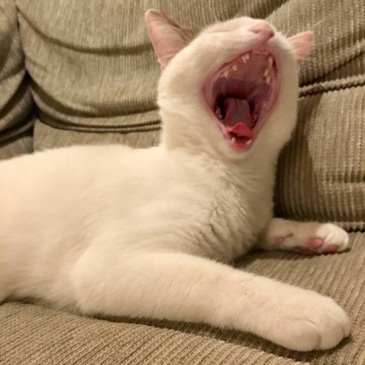 Ac262293 d8dd 4ecb 9320 e291b3bddb40