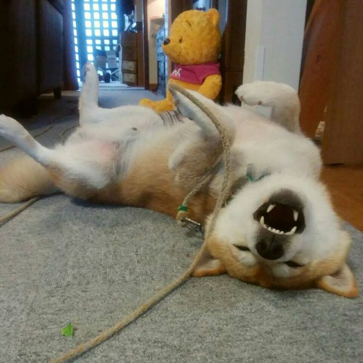 Ac269778 e984 4ba2 8658 86e280280627