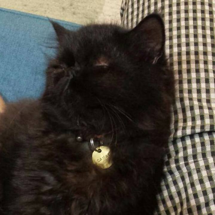 Ac26dedb da7e 4425 8245 3ff15fc8a7fc