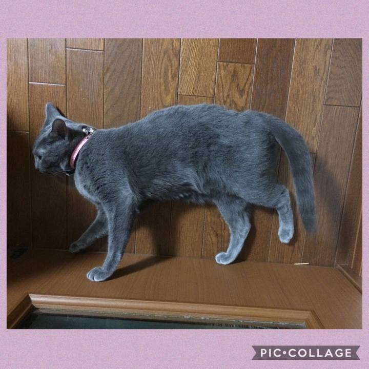 Ac26f170 ab09 4e86 9062 a4cd59be44db