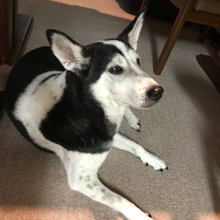 Ac2718c5 cfd2 4c9d bcd6 a99006866cdc