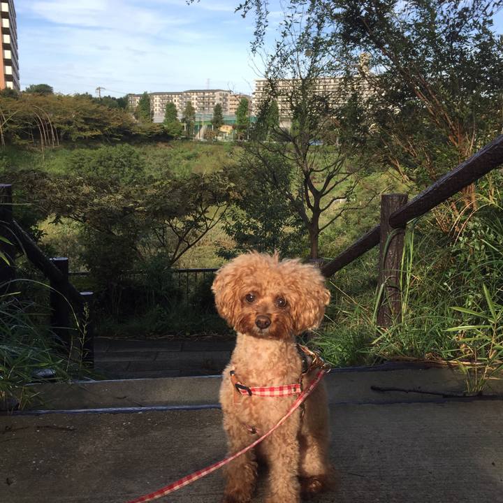 Ac272ced f566 42ce b229 097525e4f690