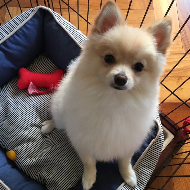 Ac278ce3 264f 45fd b51b baa4fdf3f1e0