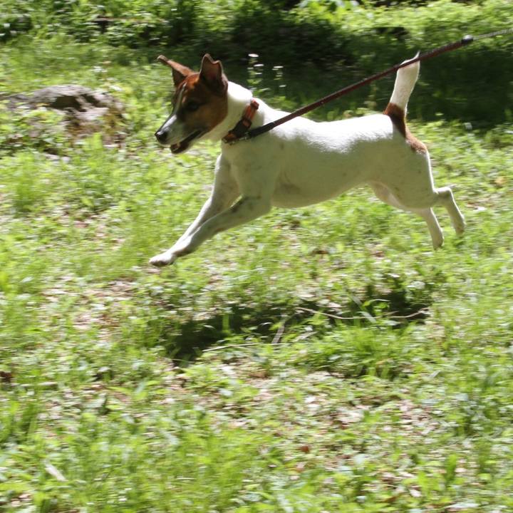 Ac28b125 ef40 4e8b ab61 34852cb25dda