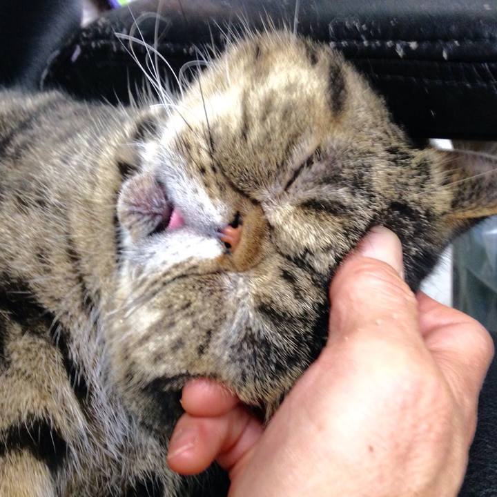 Ac292c77 5463 4e1f a7d7 617c97cbc863