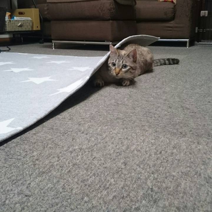 Ac294711 bf95 4aa6 8e99 76dfb75cc2ce