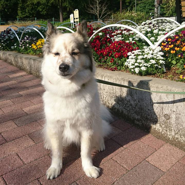 Ac2959b8 e2b7 4297 9f73 9daec651e7d8