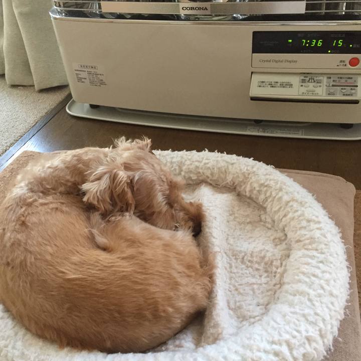 Ac297805 491f 4e0b 8da0 f9c9c5868b9f