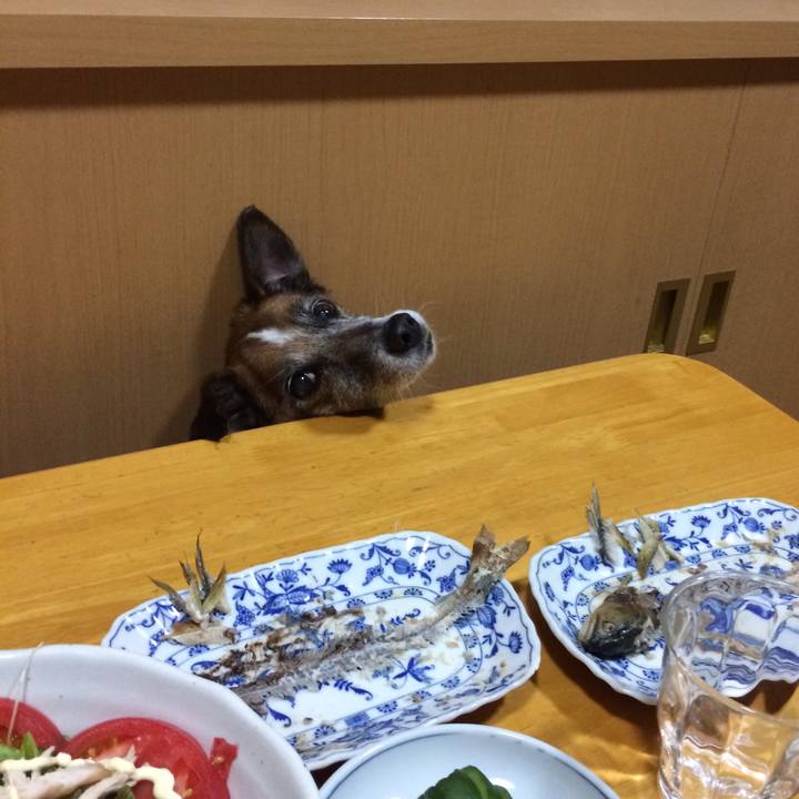 Ac29adeb 7804 42a9 8b0c 7496bb80742f