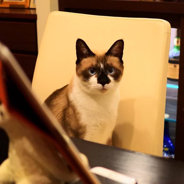 Ac2a4095 e3c7 4f32 83c3 7446ba5c19e2