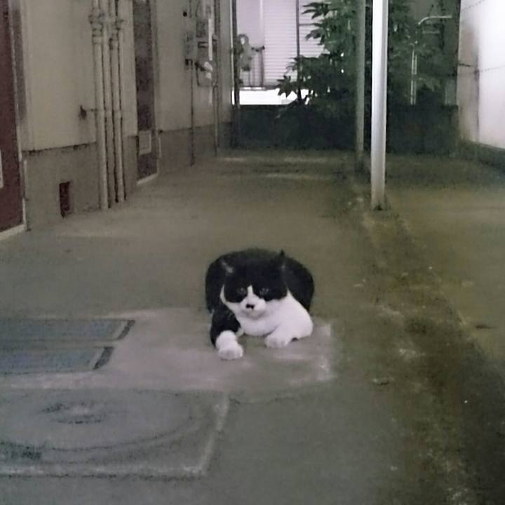 Ac2a6133 594f 48fe b1e0 1134dd65e298