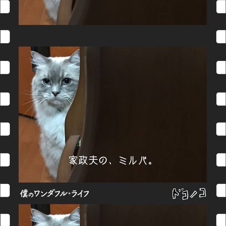 Ac2a7db7 6e37 48f9 8168 33051cfed6cc