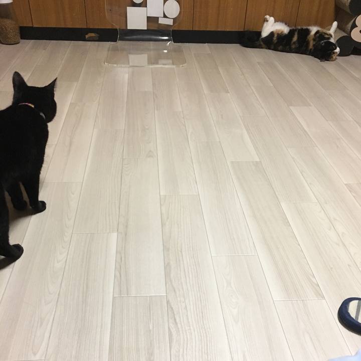 Ac2a82e3 7291 4453 a037 2ded180dce6f