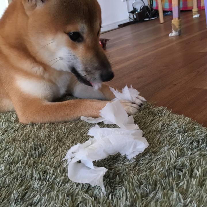 Ac2a950b 8cec 4405 9f7b 62e4bd1c593f